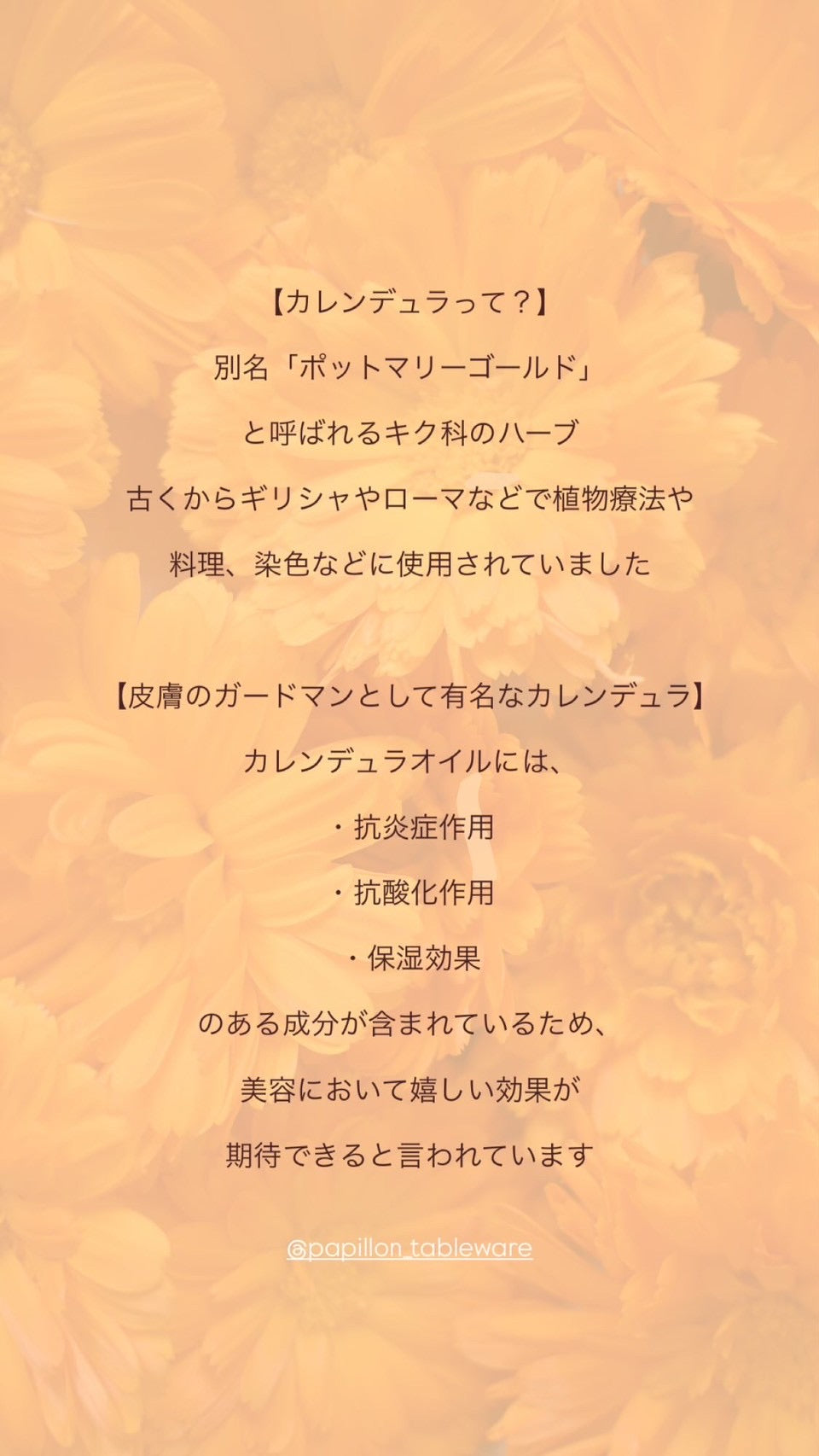 2025/09/10(Wed)15:30-17:30 オーガニックカレンデュラオイルリップクリームWS