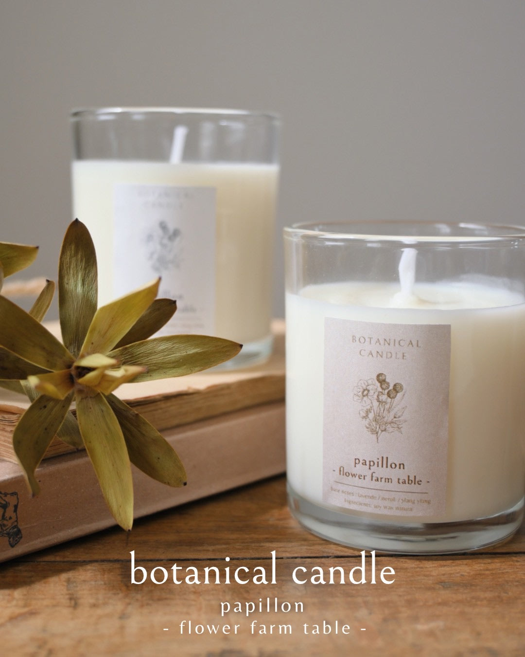 botanical candle | papillon