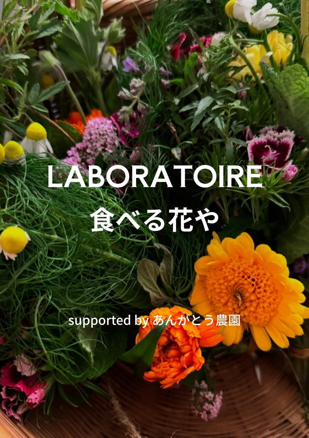 LaboraToire