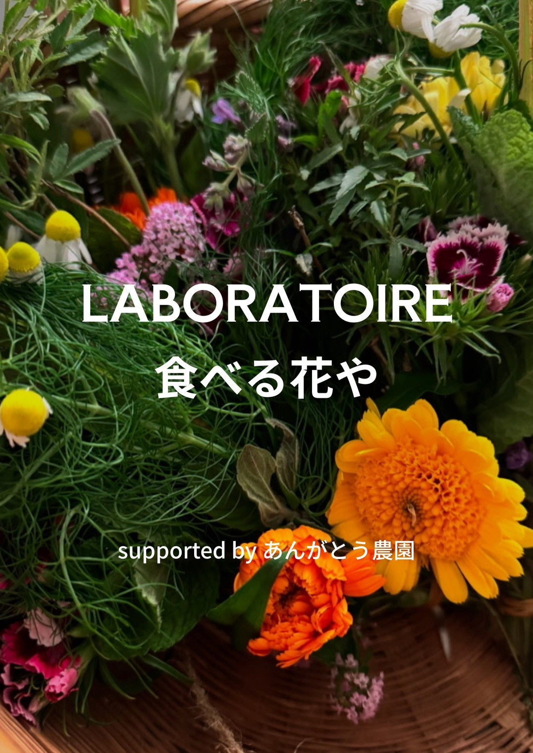 LaboraToire