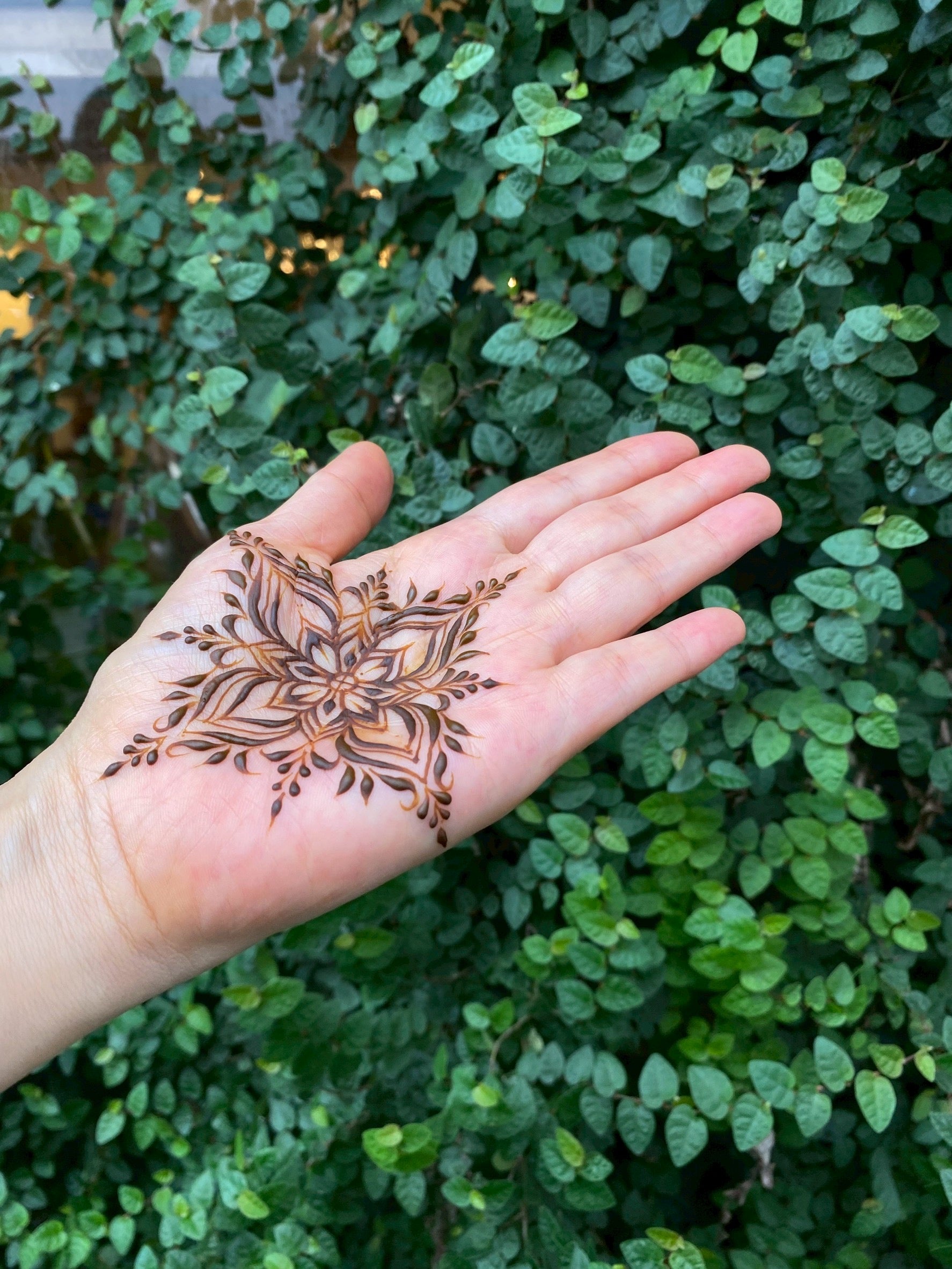 Sala Mehndi