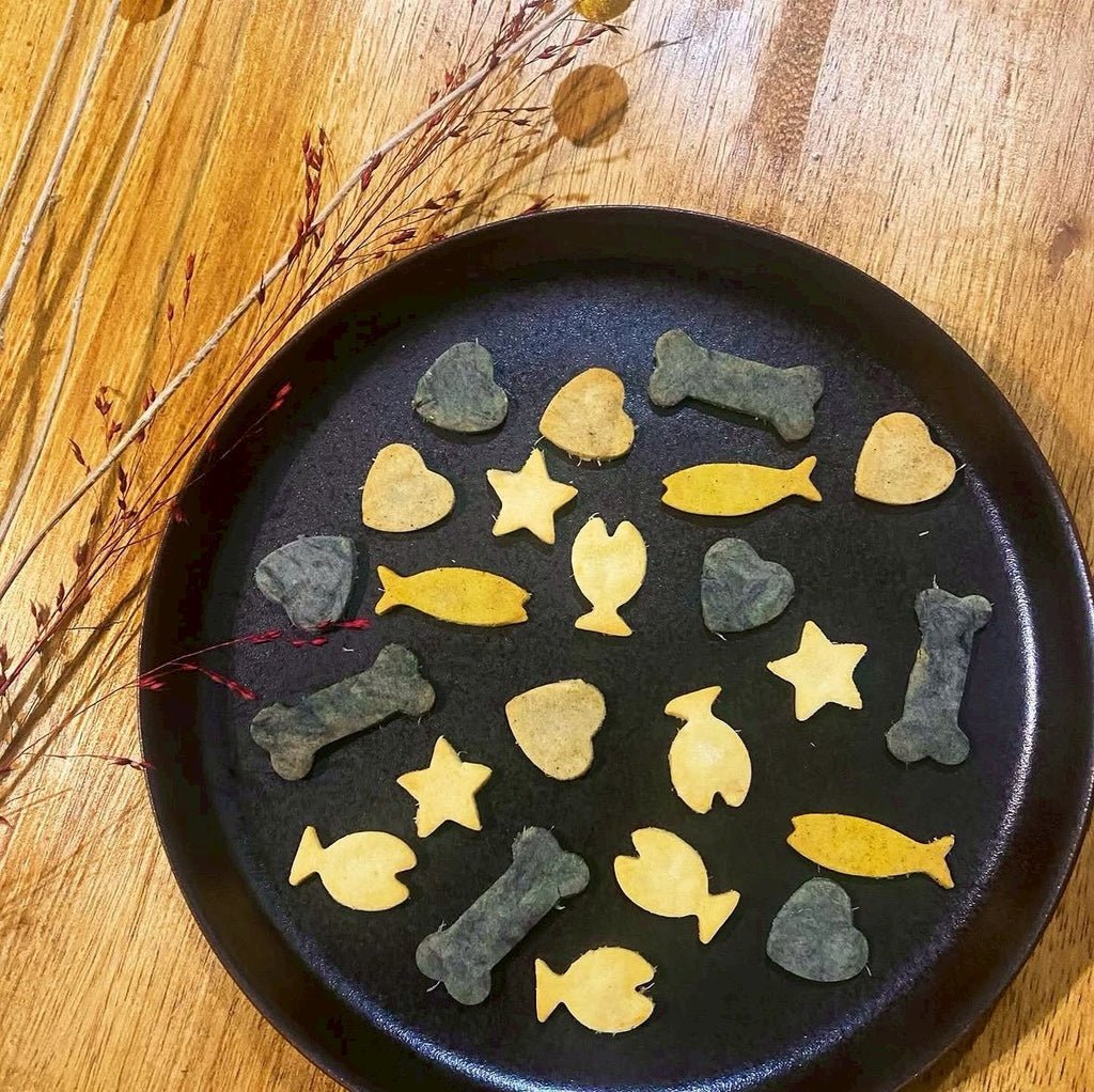 菜食菓子研究所カルテ
