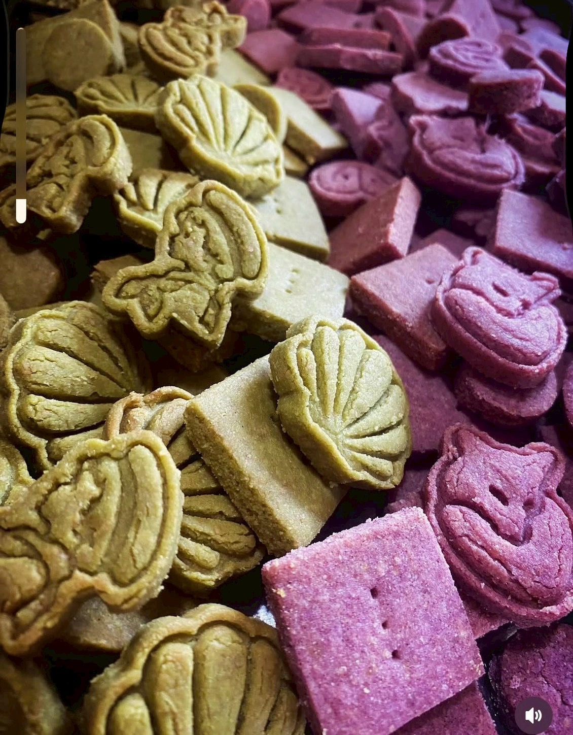 菜食菓子研究所カルテ