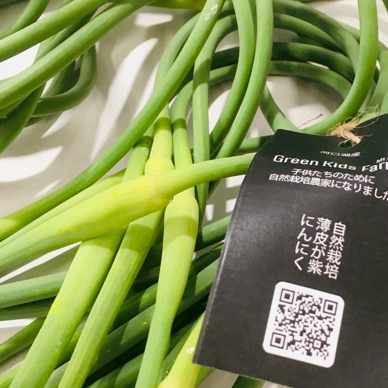 河口湖自然栽培にんにく農園